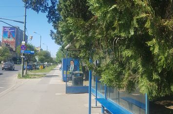 Teren intravilan 719 m.p Timisoara, Bv. Take Ionescu 59 anunturi imobiliare Timis