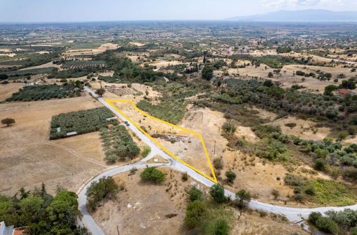 Teren 3.117 mp (4 loturi) în Ekali, Nestos anunturi imobiliare Grecia