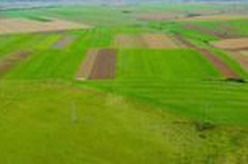 Teren agricol 5ha Giarmata langa Antena Radar anunturi imobiliare Timis