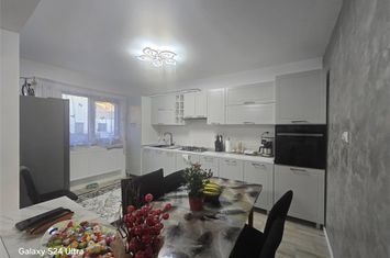 Vilă - 6 camere de vanzare LUNCA CETATUII - Iasi anunturi imobiliare Iasi