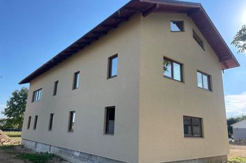 Vilă - 10 camere de vanzare SUCEAVA - Suceava anunturi imobiliare Suceava