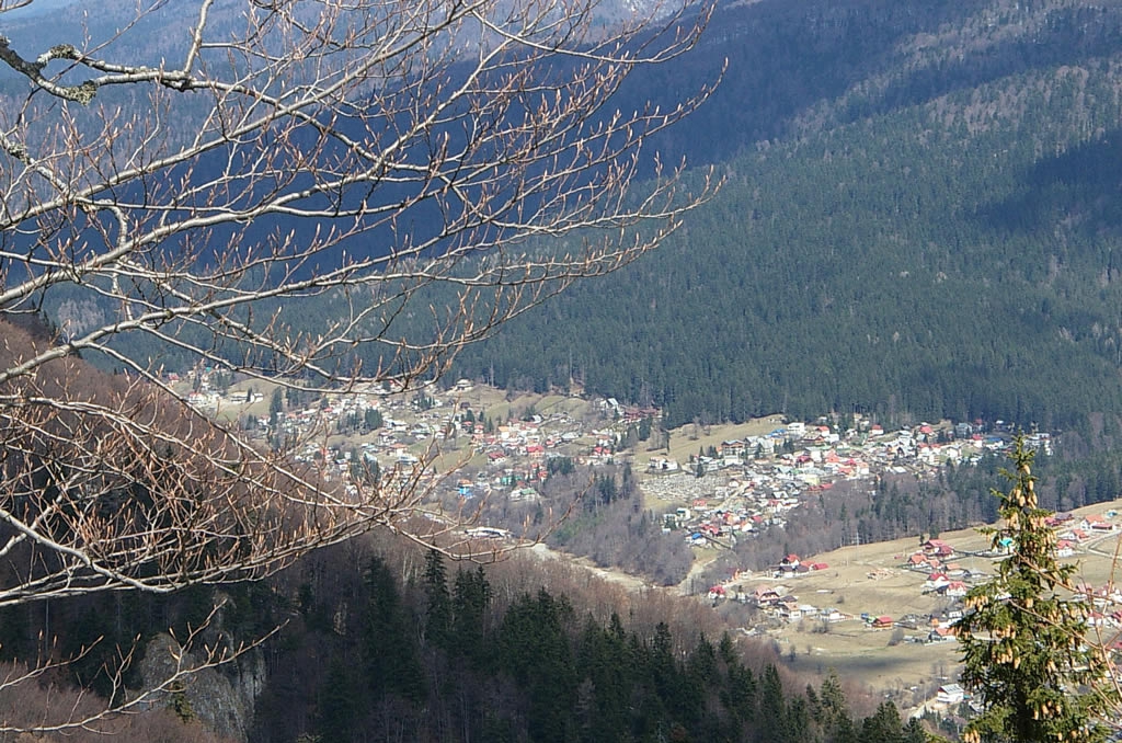 16414-sinaia_06744600.jpg