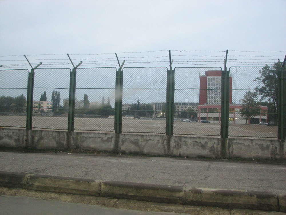16446-1297685646.jpg