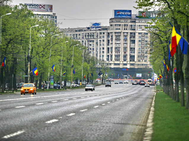 20030-victoriei-mihai-dascalescu.jpg