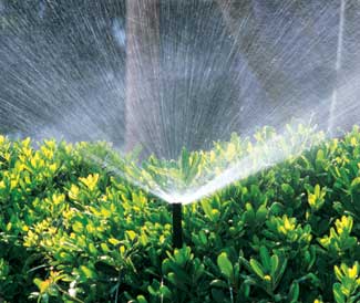 21774-irrigation-14.jpg