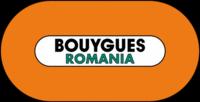 Bouygues a inchis un santier de 30 mil. euro din cauza crizei