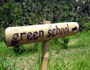 26008-green_school.jpg