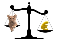 Creditul pentru Prima Casă: mai avantajos în EURO sau în LEI?